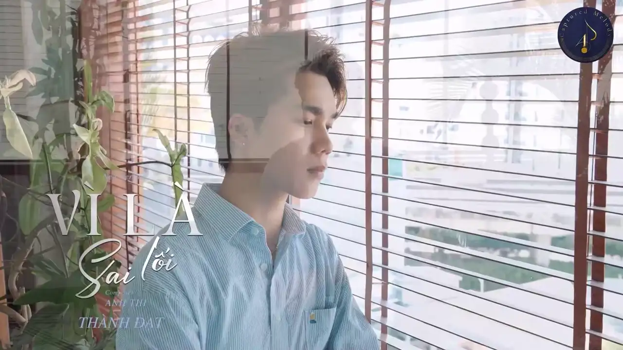 Ảnh bài hát Vì Là Sai Lối