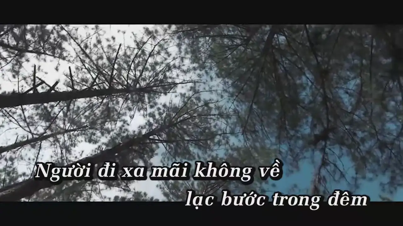 Ảnh bài hát Vì Lời Em Gian Dối