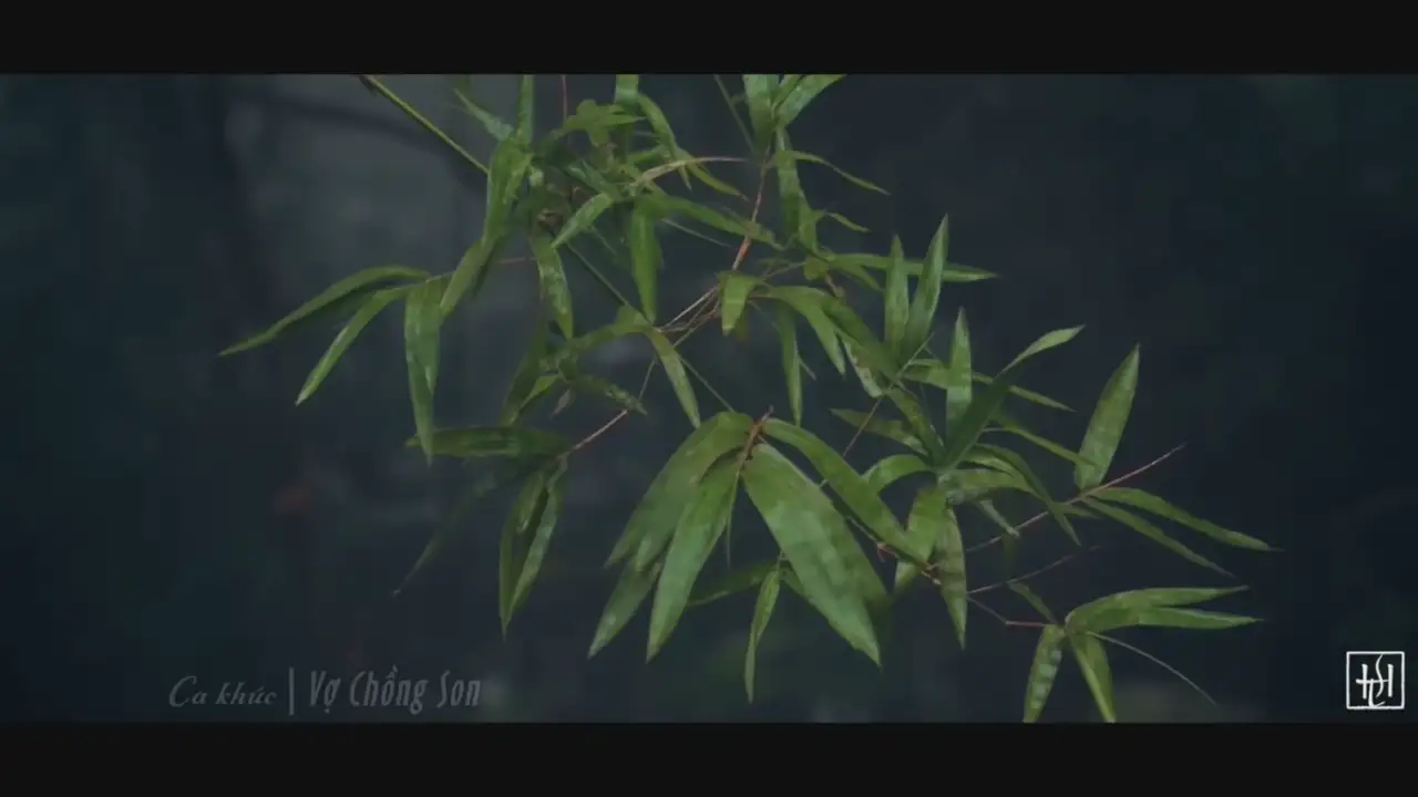 Ảnh bài hát Vợ Chồng Son