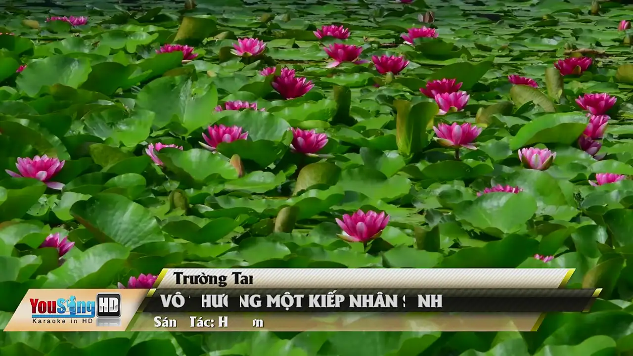 Ảnh bài hát Vô Thường Một Kiếp Nhân Sinh