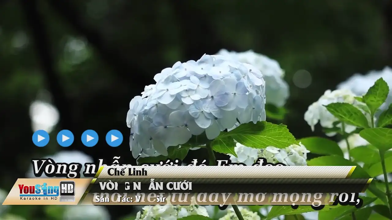 Ảnh bài hát Vòng Nhẫn Cưới