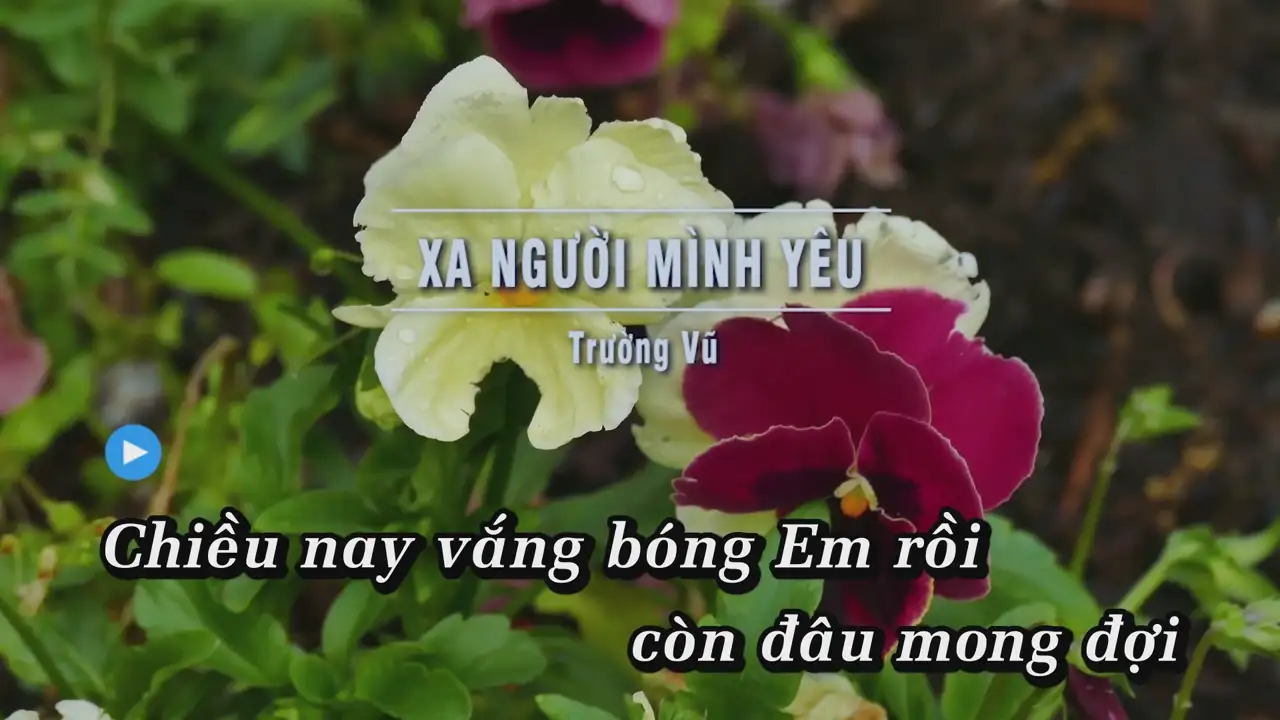 Ảnh bài hát Xa Người Mình Yêu