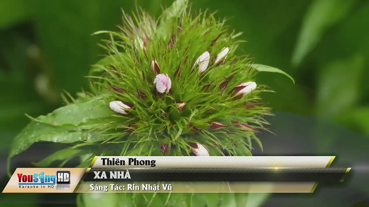 Ảnh bài hát Xa Nhà