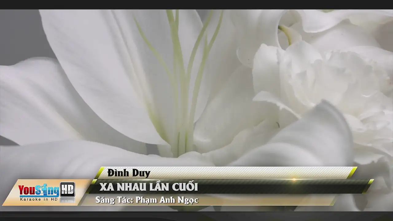 Ảnh bài hát Xa Nhau Lần Cuối