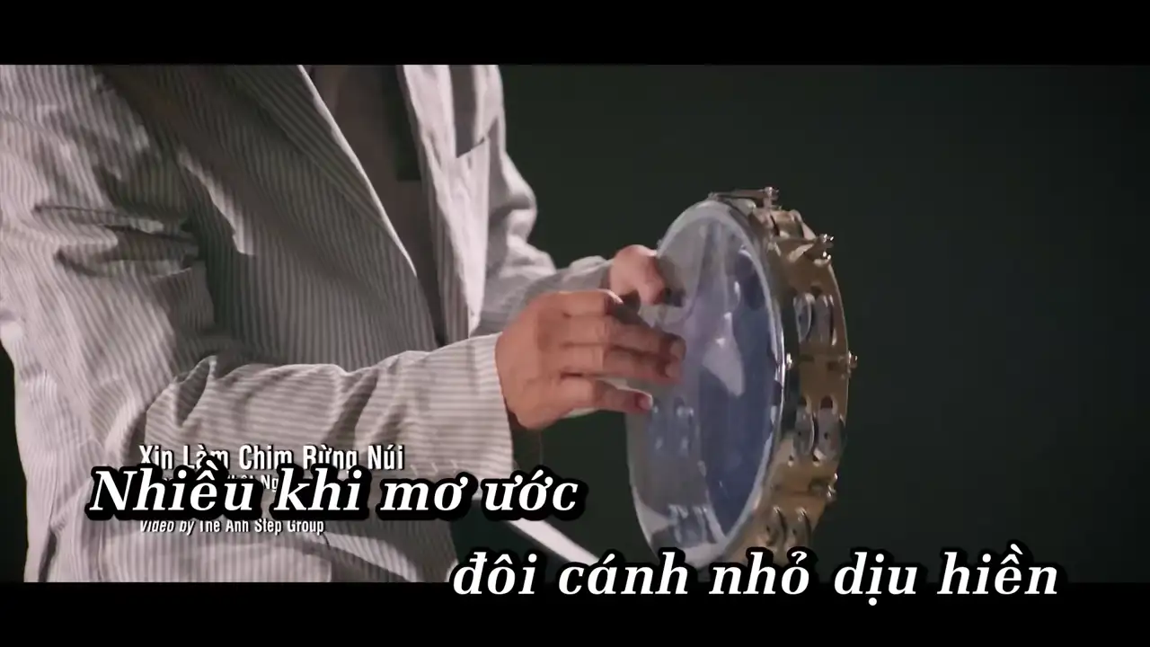 Ảnh bài hát Xin Làm Chim Rừng Núi