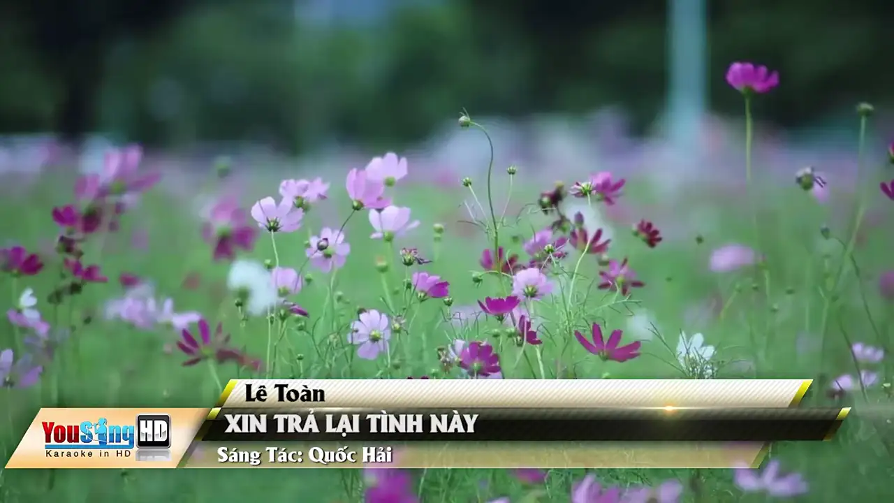 Ảnh bài hát Xin Trả Lại Tình Này