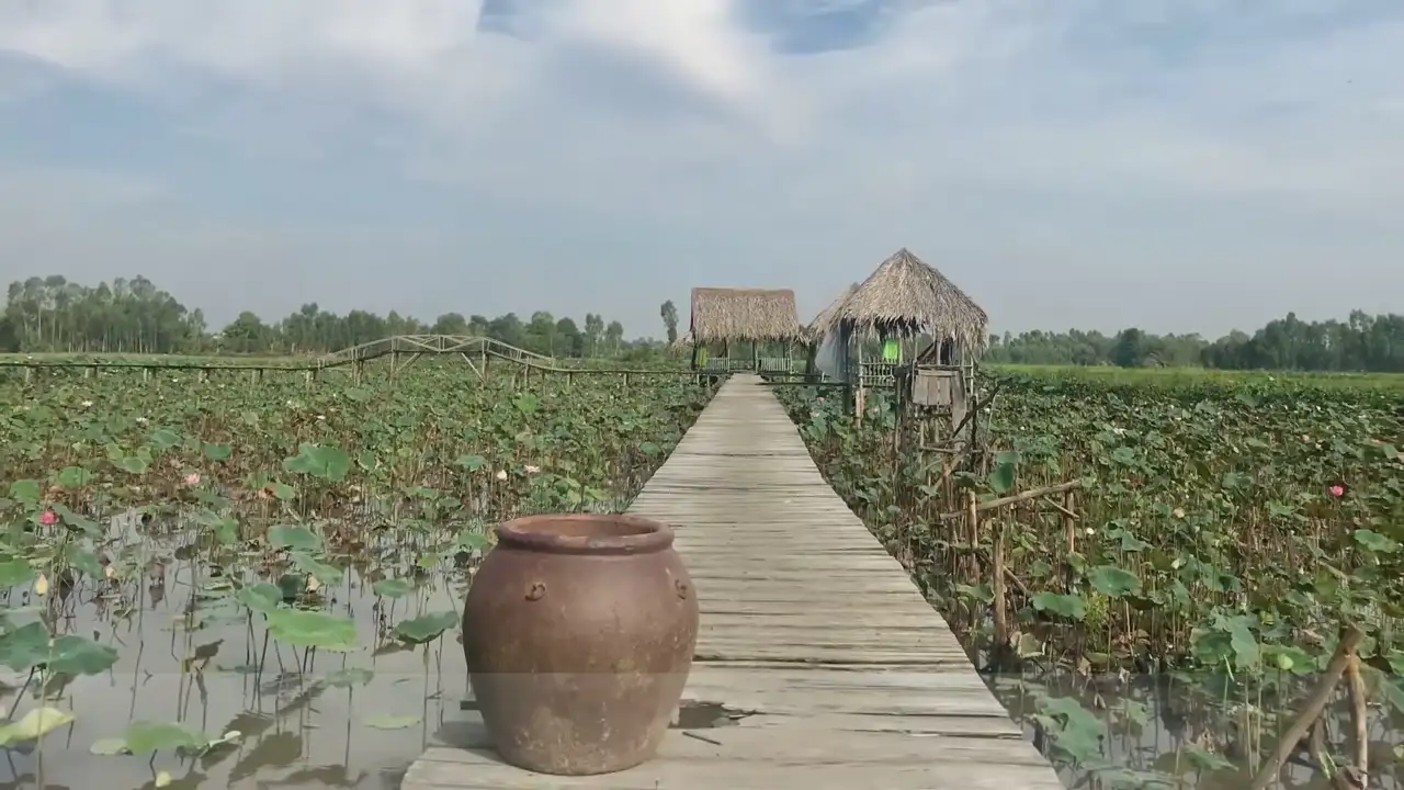 Ảnh bài hát Xin Trả Tôi Về