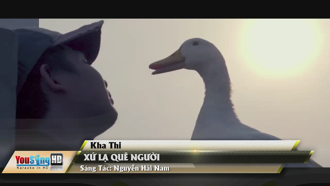 Ảnh bài hát Xứ Lạ Quê Người