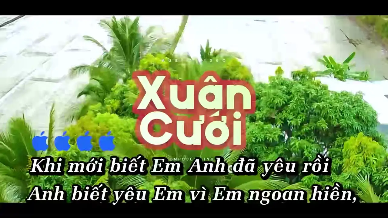 Ảnh bài hát Xuân Cưới