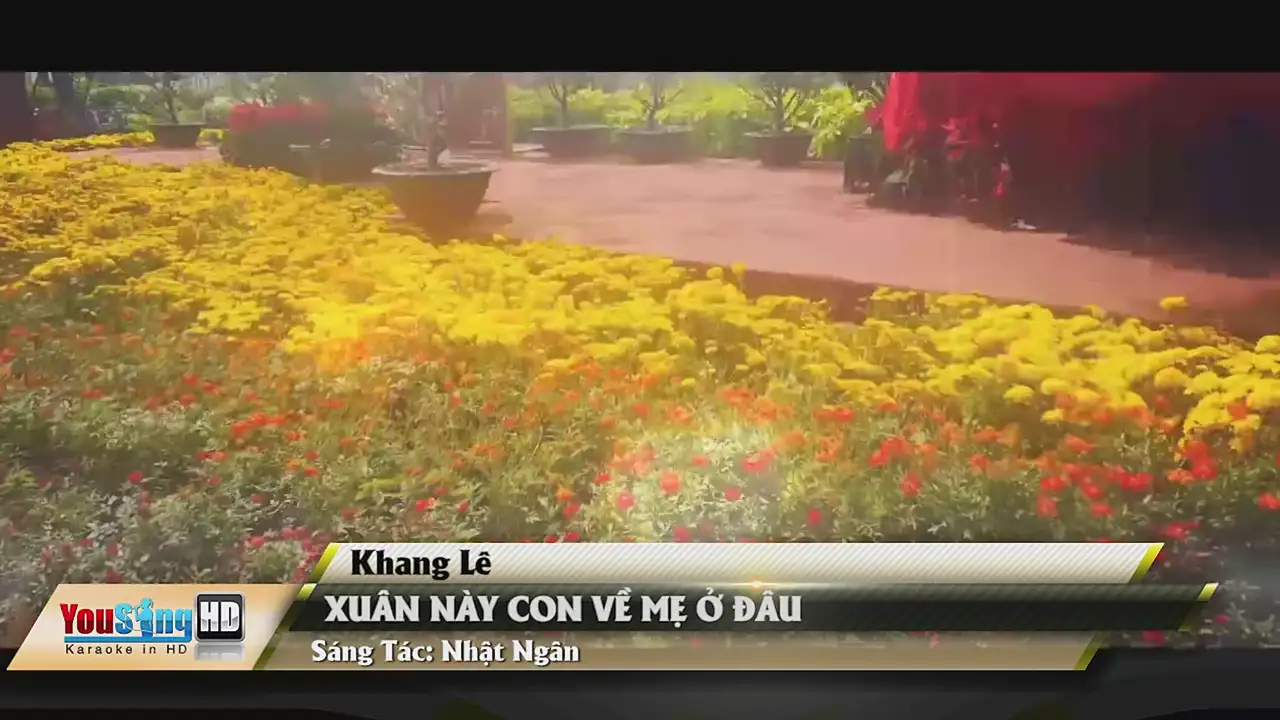 Ảnh bài hát Xuân Này Con Về Mẹ Ở Đâu
