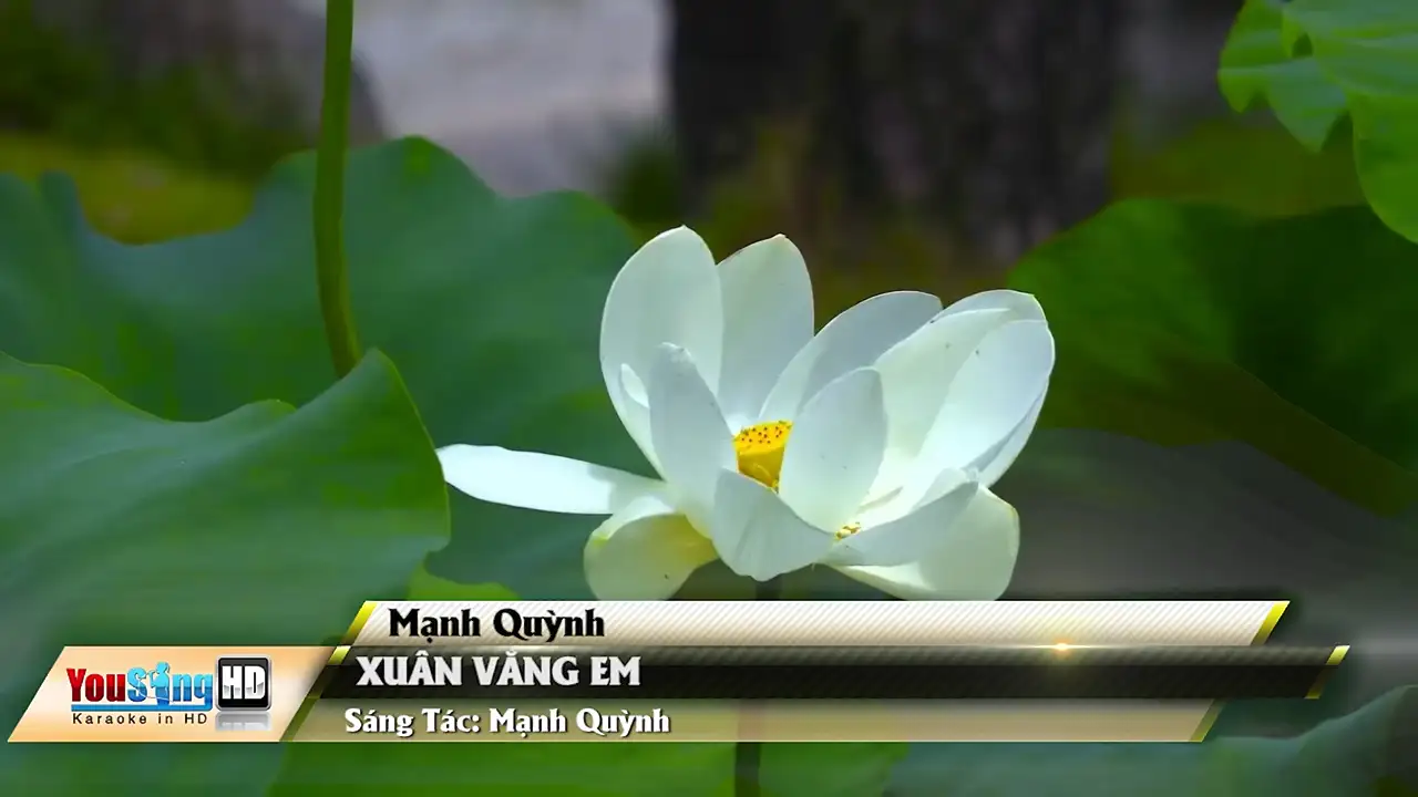 Ảnh bài hát Xuân Vắng Em