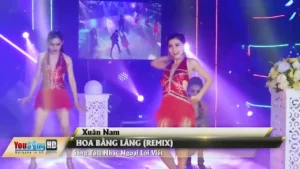 Hoa Bằng Lăng (Remix) – Xuân Nam