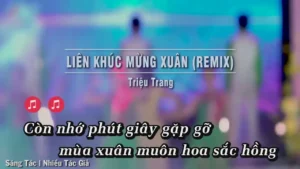 Liên Khúc Mừng Xuân (Remix) – Triệu Trang
