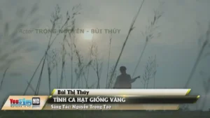 Tình Ca Hạt Giống Vàng – Bùi Thị Thúy