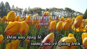 Chuyện Hợp Tan – Chế Linh