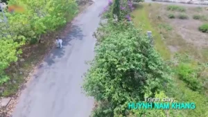 Con Đường Xưa Em Đi – Huỳnh Nam Khang