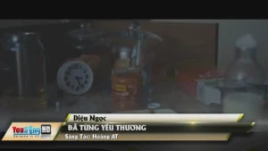 Đã Từng Yêu Thương – Diệu Ngọc