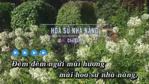 Hoa Sứ Nhà Nàng – Chế Linh