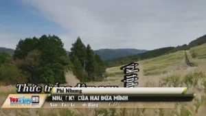 Nhật Ký Của Hai Đứa Mình – Phi Nhung