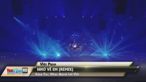 Nhớ Về Em (Remix) – Việt Puzo