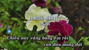 Xa Người Mình Yêu – Trường Vũ