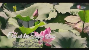 Ta Về Hội Làng Sen – Quế Thương