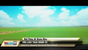 Yêu Lắm Thái Bình Ơi – Bùi Thúy & Xuân Hảo