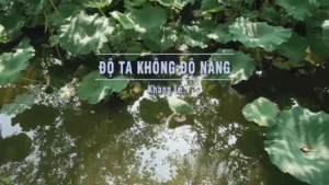 Độ Ta Không Độ Nàng – Khang Lê