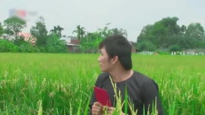 Khúc Hát Tự Tình – Cao Hoàng Nghi