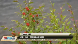 Nửa Hồn Thương Đau – Thanh Hiền