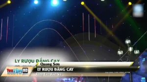 Ly Rượu Đắng Cay – Quang Sơn