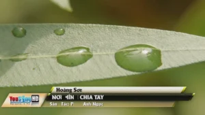 Nơi Mình Chia Tay – Hoàng Sơn