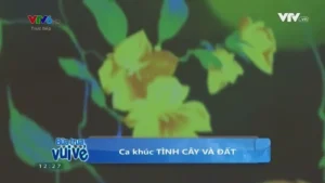 Tình Cây Và Đất – Bùi Thị Thúy