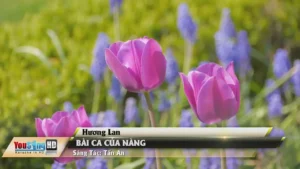 Bài Ca Của Nàng – Hương Lan