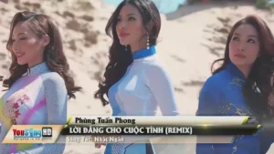 Lời Đắng Cho Cuộc Tình (Remix) – Phùng Tuấn Phong