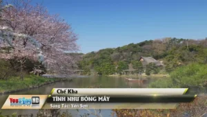 Tình Như Bóng Mây – Chế Kha
