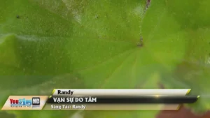 Vạn Sự Do Tâm – Randy