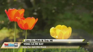 Vùng Lá Me Bay – Lâm Gia Minh & Trúc Mi