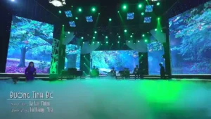 Đường Tình Đôi Ngã – Thạch Thảo & Vũ Hoàng