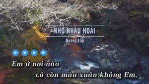 Nhớ Nhau Hoài – Quang Lập