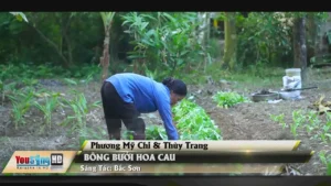 Bông Bưởi Hoa Cau – Phương Mỹ Chi & Thùy Trang