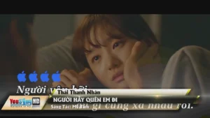 Người Hãy Quên Em Đi – Thái Thanh Nhàn