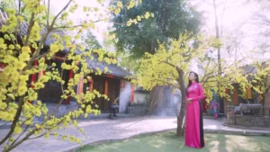 Mùa Xuân Đầu Tiên – Anh Thi