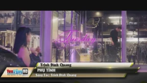 Phụ Tình – Trịnh Đình Quang