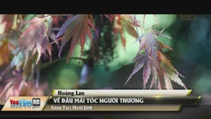 Về Đâu Mái Tóc Người Thương – Hoàng Lan