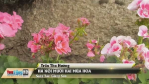 Hà Nội Mười Hai Mùa Hoa – Trần Thu Hường