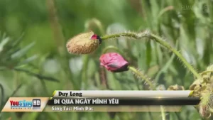Đi Qua Ngày Mình Yêu – Duy Long