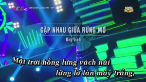 Gặp Nhau Giữa Rừng Mơ – Ưng Linh