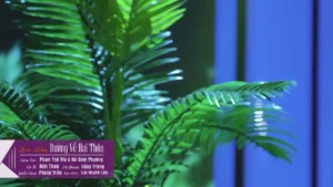 Liên Khúc Đường Về Hai Thôn – Kim Thoa