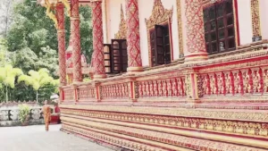 Sóc Sờ Bai Sóc Trăng (Tân Cổ) – Diễm Kiều